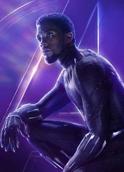 Chadwick Boseman as T'Challa (Black Panther)