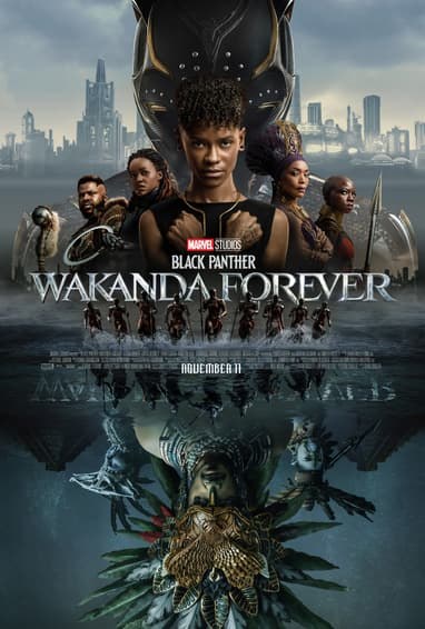 Black Panther 3 poster